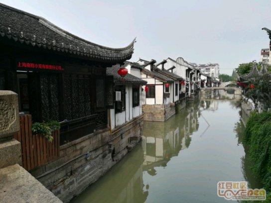 小艾比摄影家